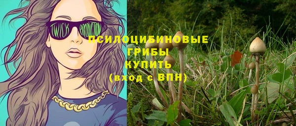 ГАЛЛЮЦИНОГЕННЫЕ ГРИБЫ Михайловка