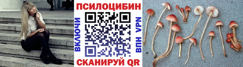 Галлюциногенные грибы Psilocybine cubensis  наркошоп  Скопин 